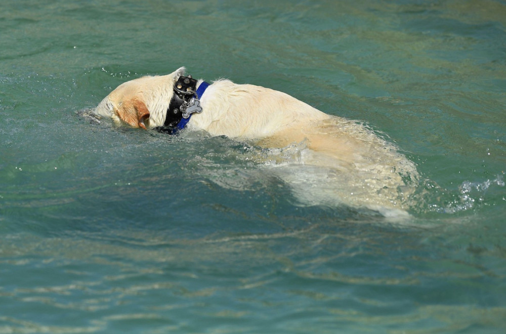 Toplotni talas oborio rekord star 77 godina: Najtoplija noć od 1948.
