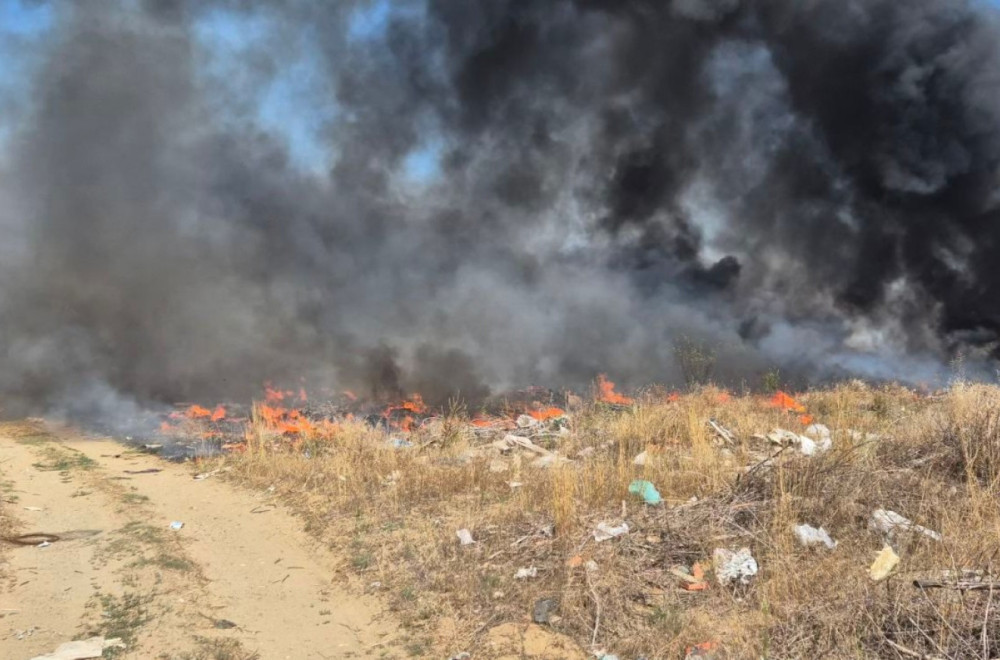 Vanredna situacija u Kladovu: Vatra guta oko 150 hektara; Sve raspoložive jedinice na terenu FOTO