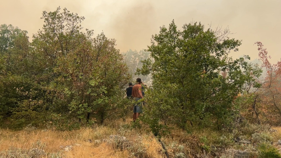 Apokalipsa: Ovde je trenutno najkritičnije požarište u Crnoj Gori FOTO
