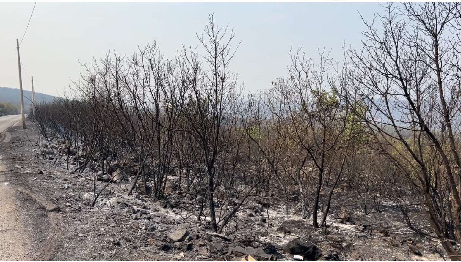 Požari širom regiona; Vatrogasci se bore da lokalizuju vatrene stihije