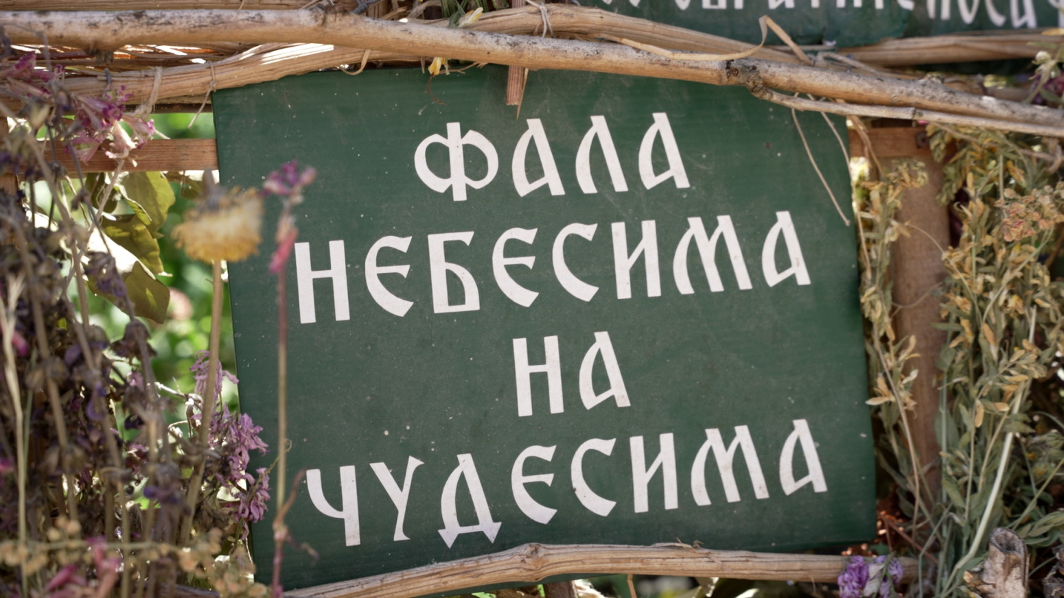 Ne gleda u sat i u kalendar, živi samo u skladu sa prirodom: Zlatiborski gorštak čuveni je travar FOTO