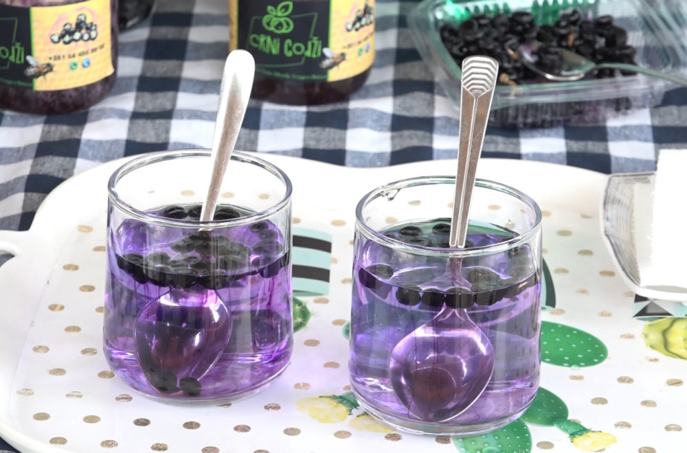 A family from Novi Pazar grows the rarest berries in the Balkans: Black goji - highly medicinal and profitable