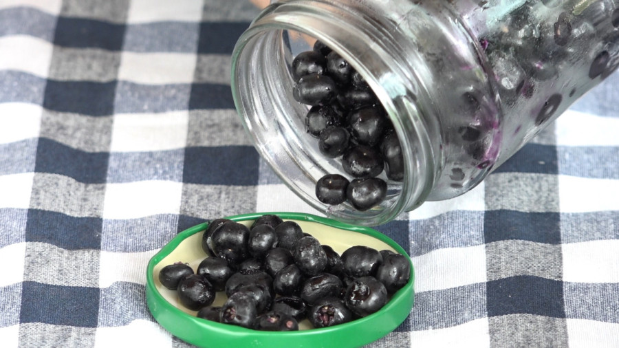 A family from Novi Pazar grows the rarest berries in the Balkans: Black goji - highly medicinal and profitable