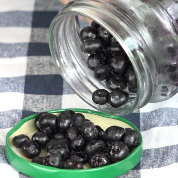 Crno zlato iz plastenika koje leči i rak: Jedini su u Srbiji koji ih uzgajaju FOTO