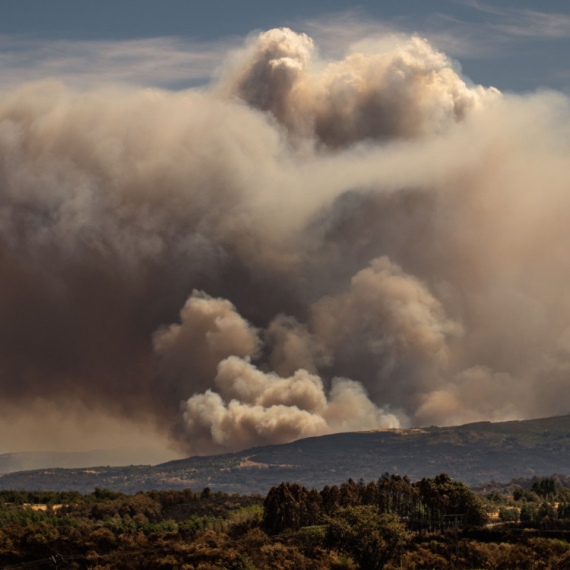 Kao u paklu: Evropska zemlja gori – proglasiće vanredno stanje FOTO/VIDEO