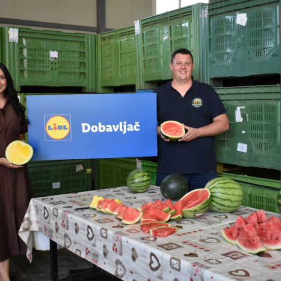 Lidl ove sezone otkupio oko 5.000 tona lubenice iz Srbije: Glavni dobavljač iz Klenka