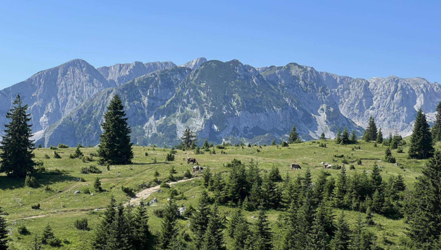 Dok se na primorju gosti prebrojavaju, sever Crne Gore doživljava turistički bum FOTO