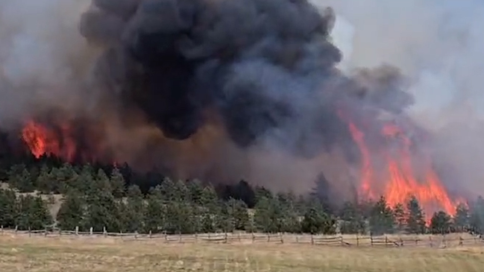 Gori šest hektara borove šume, vetar nosi vatru ka Tometinom polju
