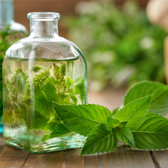 Trajno se rešite viška kilograma: Miris ove biljke u potpunosti ubija apetit