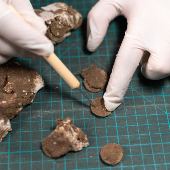 Arheolozi zapanjeni novim otkrićem: "Ovo sve menja" FOTO