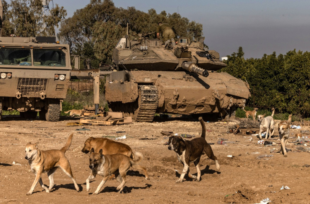 Svedočanstva očaja: I psi su podivljali jer jedu tela