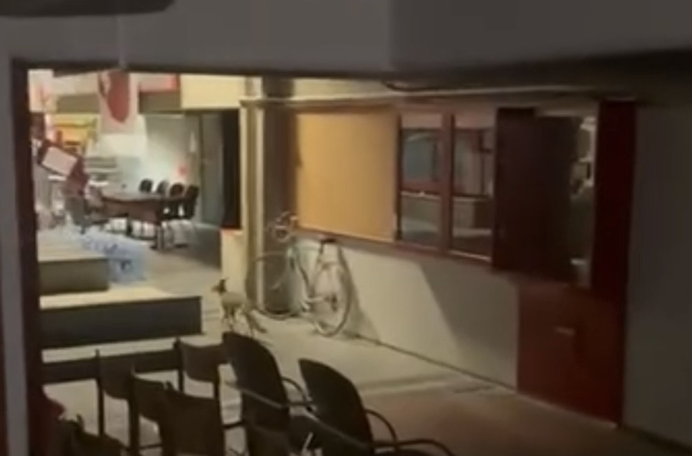 Filozofski fakultet u Novom Sadu – leglo zaraze VIDEO