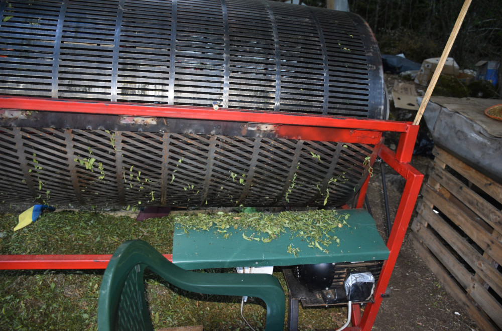 Crnogorska policija na nogama: Otkrivena najveća plantaža marihuane u regionu FOTO