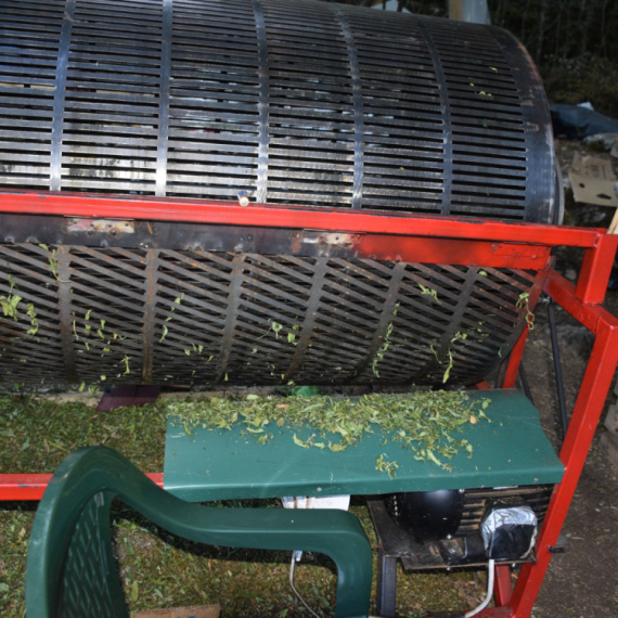 Crnogorska policija na nogama: Otkrivena najveća plantaža marihuane u regionu FOTO