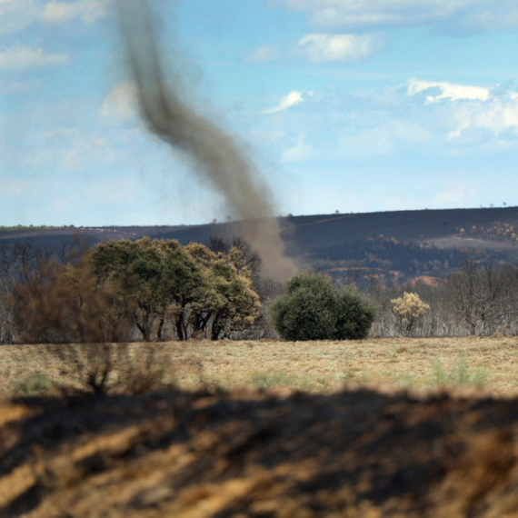 Beograđani u šoku – uočen je "pustinjski đavo" FOTO/VIDEO