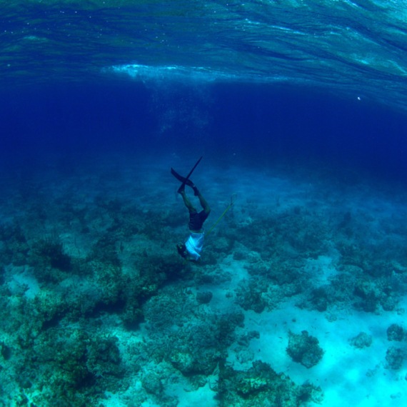 Alarmantno upozorenje naučnika: "U dubini Jadranskog mora dešava se nešto ozbiljno" FOTO