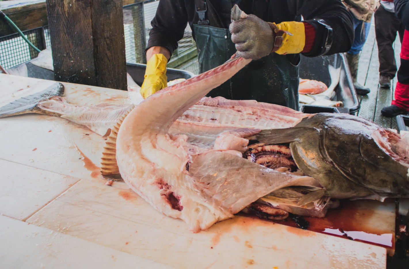 Srbin koji radi na Aljasci poručio: "Počinje blagi pakao" VIDEO
