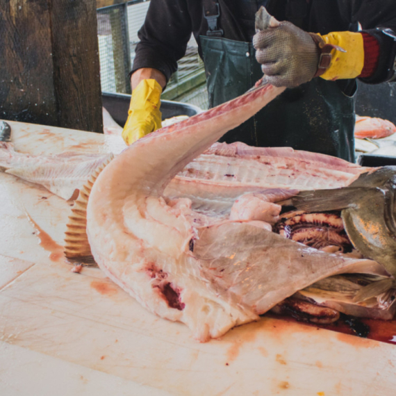 Srbin koji radi na Aljasci poručio: "Počinje blagi pakao" VIDEO