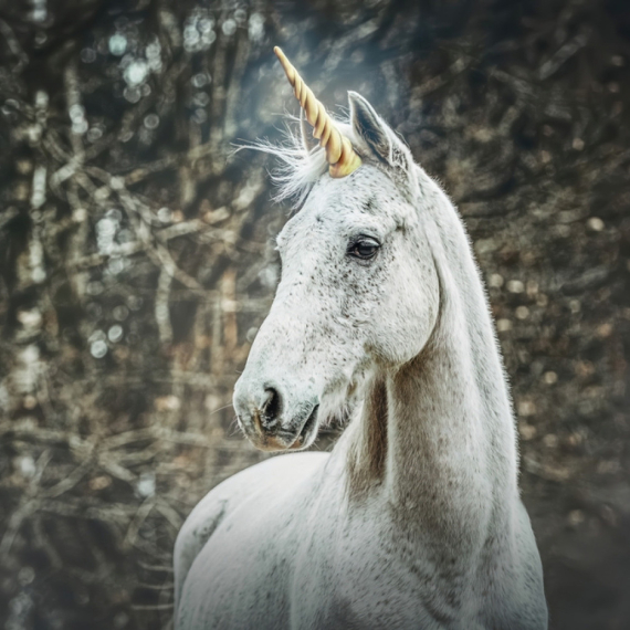 Više od 10 novih jednoroga u Evropi