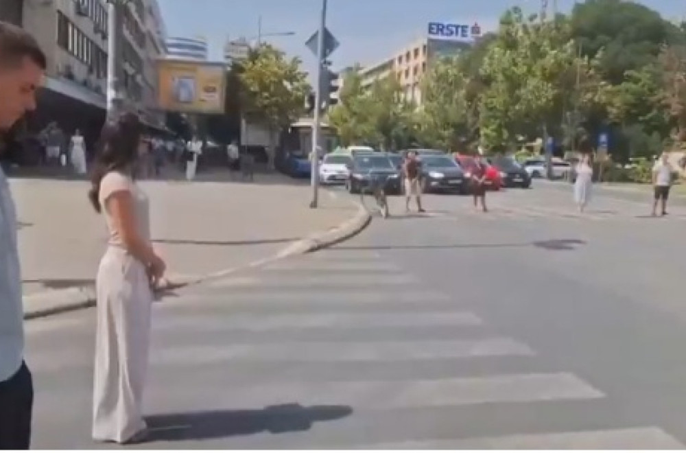 Novi teror blokadera: Njih desetak maltretira ceo Novi Sad VIDEO