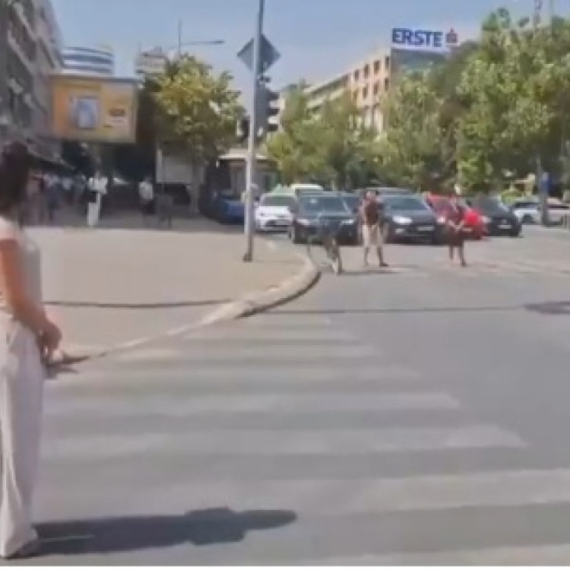 Novi teror blokadera: Njih desetak maltretira ceo Novi Sad VIDEO