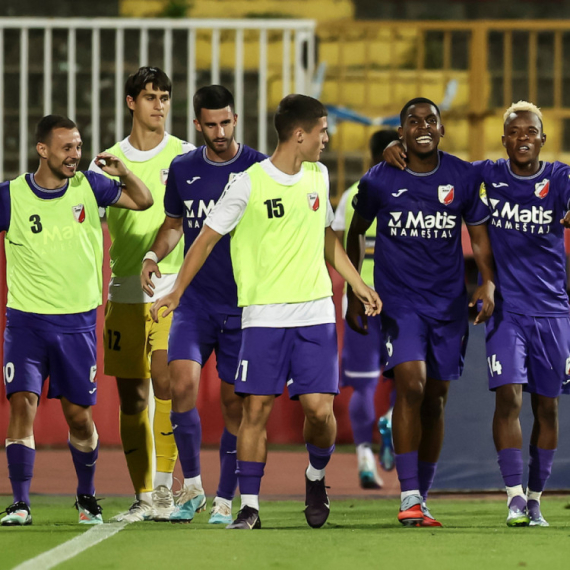 Javor "sapleo" TSC, mirovale mreže u Lučanima