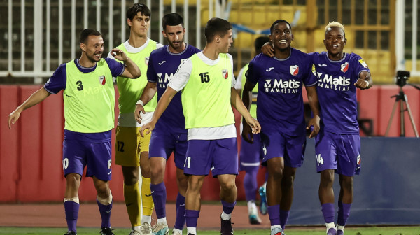 Javor "sapleo" TSC, mirovale mreže u Lučanima