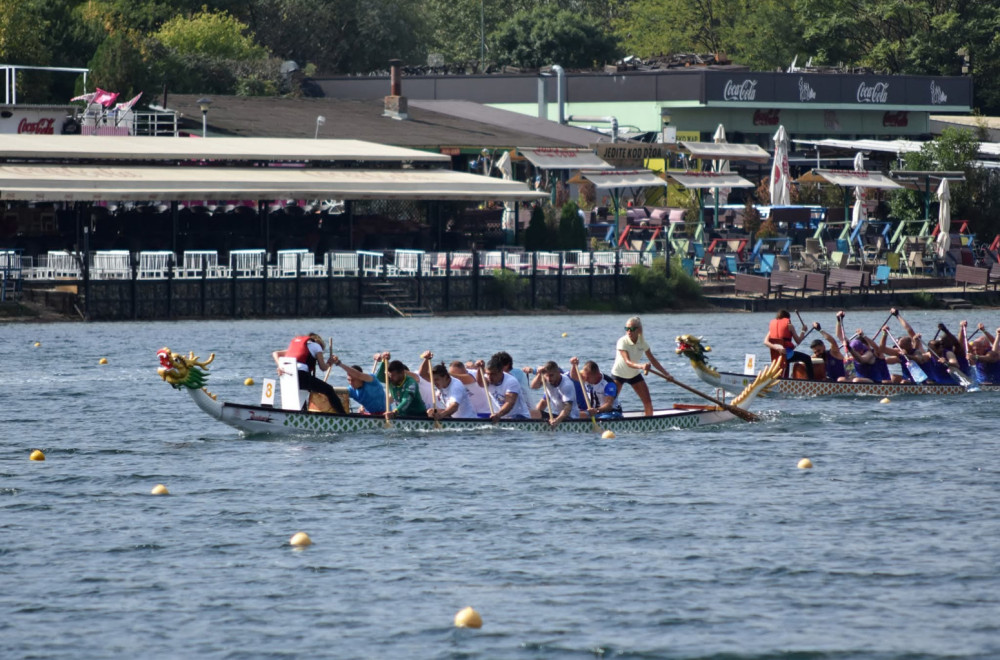 Spektakl na Adi Ciganliji: Beograd domaćin najvećeg dragon boat takmičenja u istoriji Srbije! FOTO