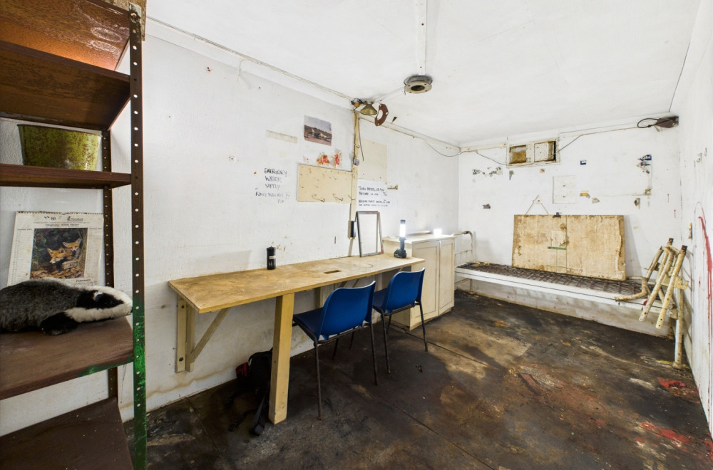 Da, ovo je nekretnina na prodaju: Teško je reći nešto lepo, pogledajte je FOTO