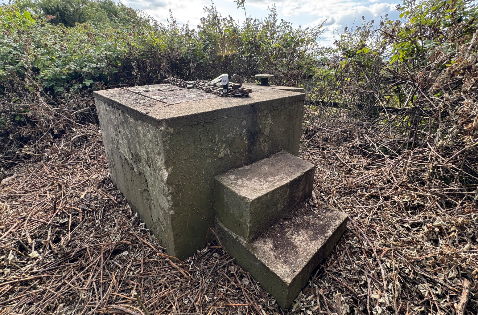 Da, ovo je nekretnina na prodaju: Teško je reći nešto lepo, pogledajte je FOTO