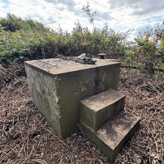 Da, ovo je nekretnina na prodaju: Teško je reći nešto lepo, pogledajte je FOTO