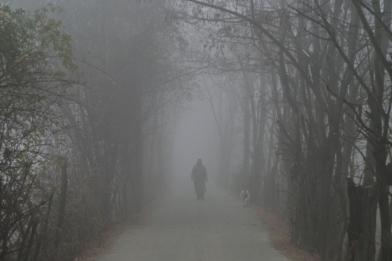 La Ninja udara Evropu; Objavljena velika prognoza