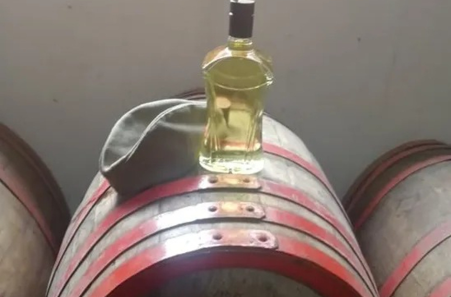 "Od rakije nema bolje žene...": Čuvena Rakijada zakazana u selu Pranjani