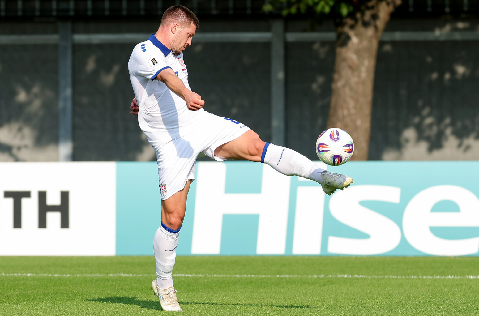 Srbiji poništena golčina VIDEO