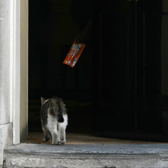 Pukla nova bruka: Rođendanska čestitka sve šokirala