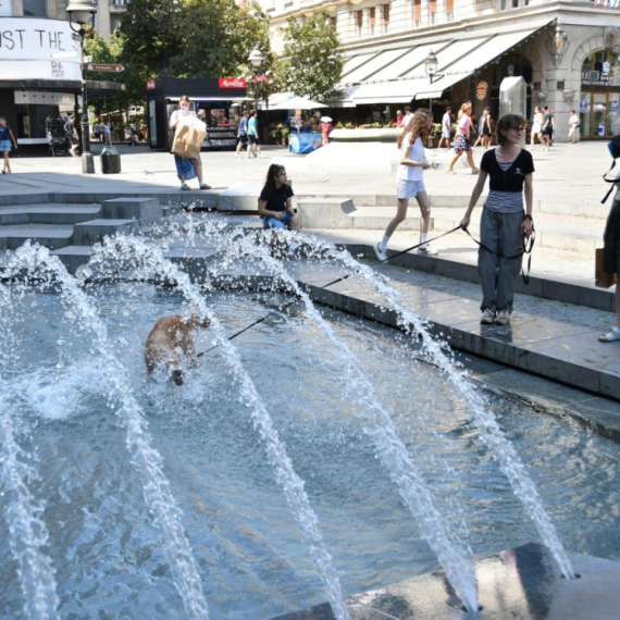 Brazilac o Srbiji: "To je glavni razlog zašto sam odlučio da ostanem ovde" VIDEO