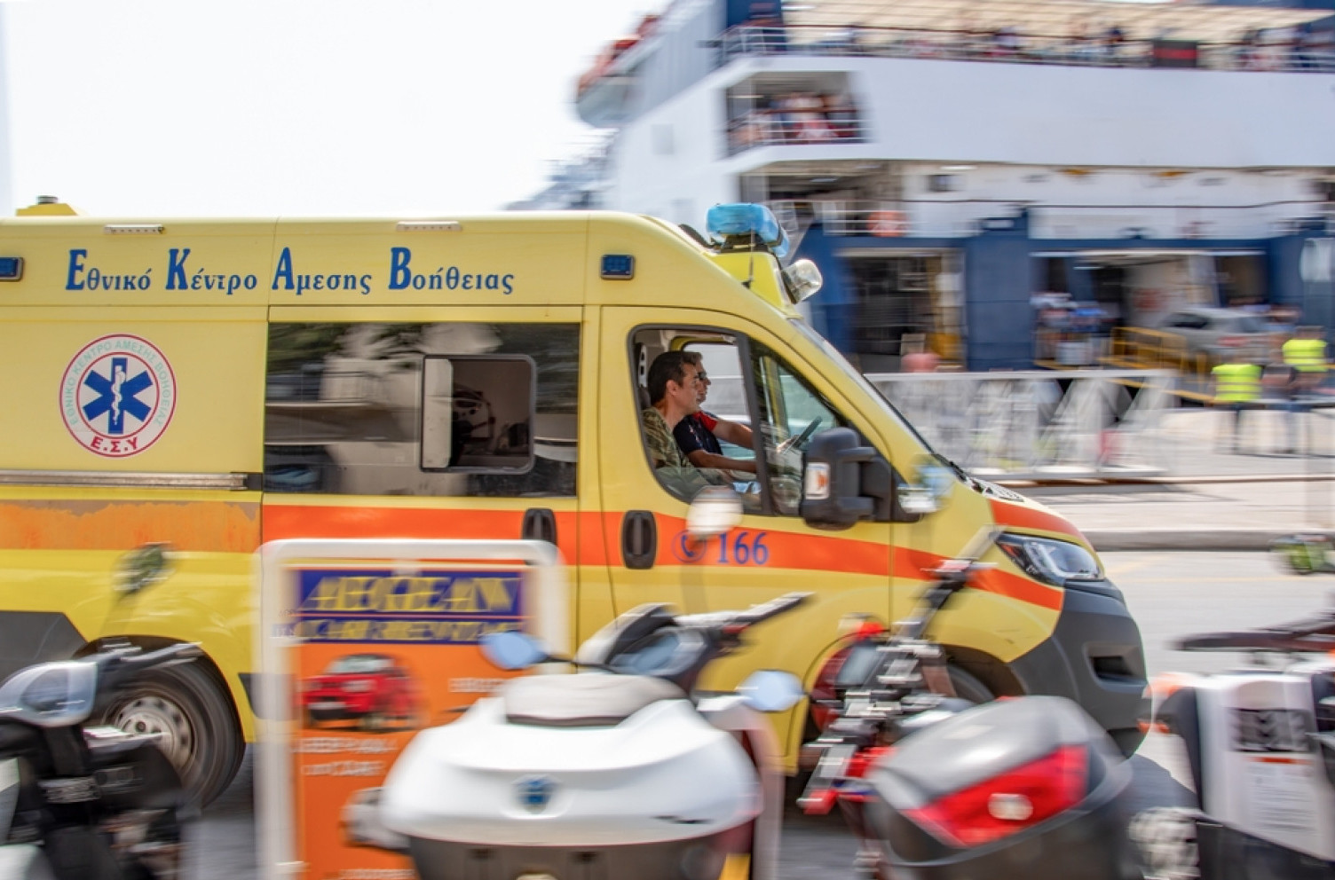 Vuk ugrizao dete iz Srbije na plaži? Jeziv incident u Srbima omiljenom letovalištu FOTO
