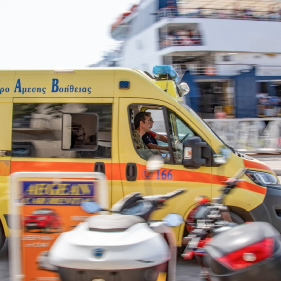 Vuk ugrizao dete iz Srbije na plaži? Jeziv incident u Srbima omiljenom letovalištu FOTO