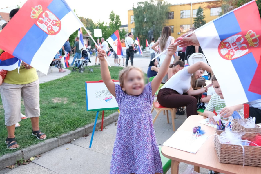 Ovo su najlepši prizori sa skupova protiv blokada FOTO