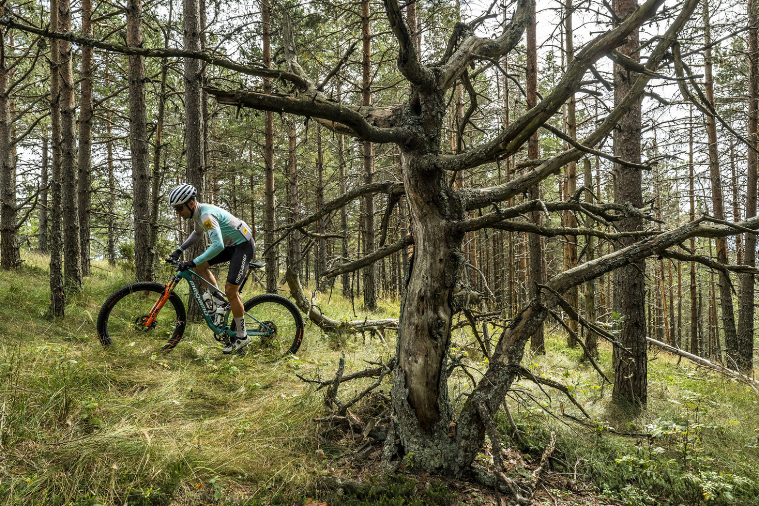 Trijumf Hans Bekinga na biciklističkoj trci Wild bear MTB