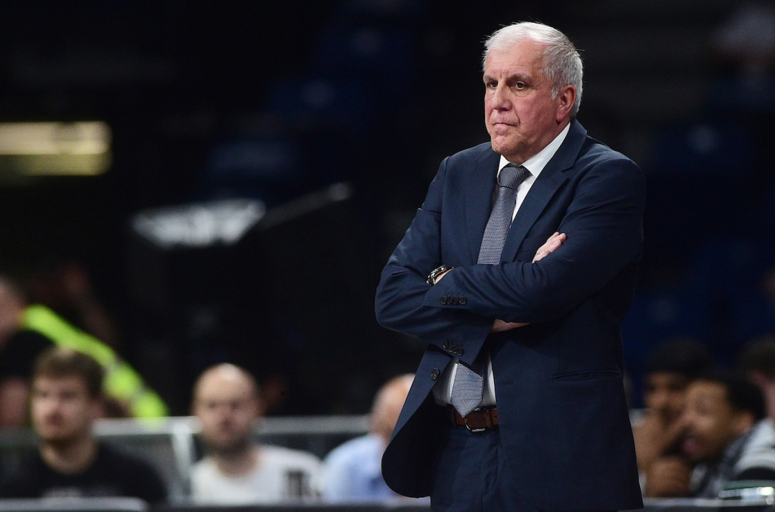 Obradović: "Nismo doveli centra iz raznih razloga"