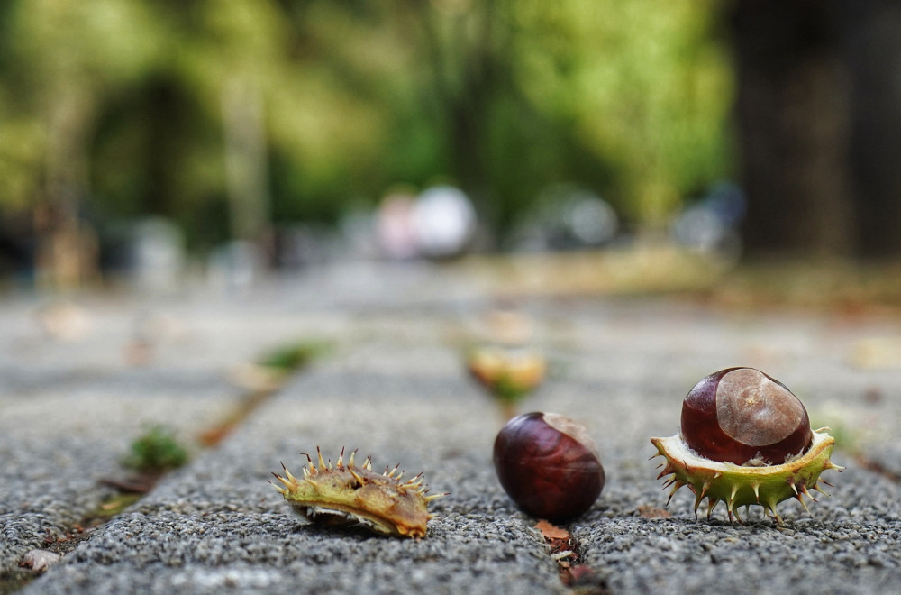 Poznato kakva će biti jesen; Meteorolog otkriva kada stiže zahlađenje VIDEO