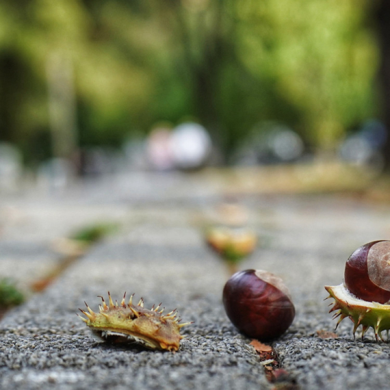 Poznato kakva će biti jesen; Meteorolog otkriva kada stiže zahlađenje VIDEO