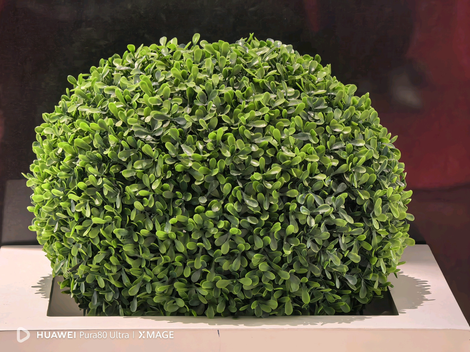 Ovako nešto još nismo videli: Huawei Pura 80 Ultra kamera pravi čuda u fotografiji