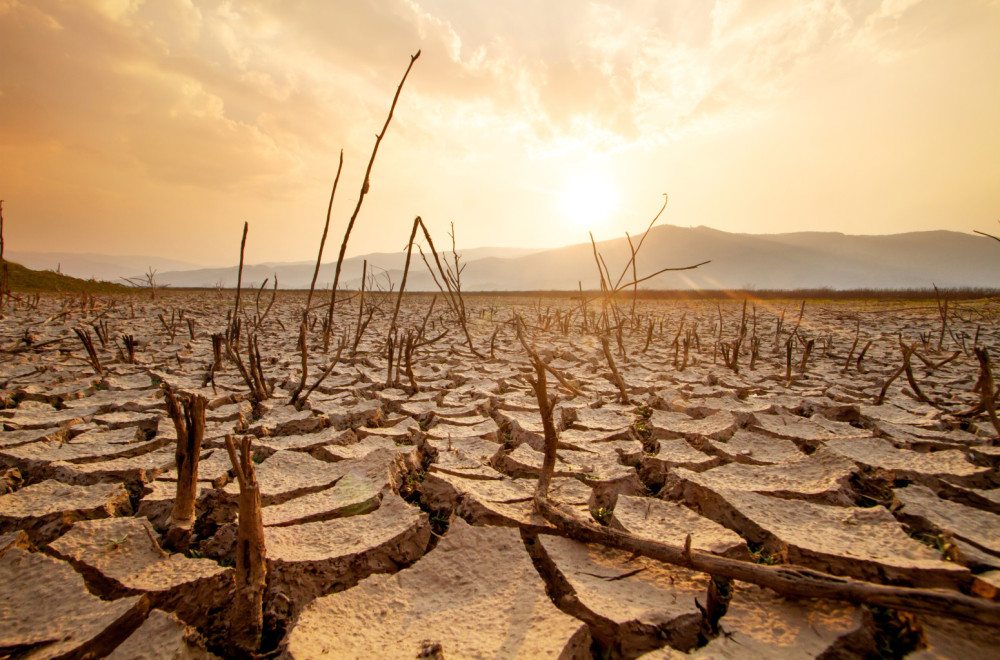 Nestaju zabrinjavajućom brzinom: "Bez njih sve umire"