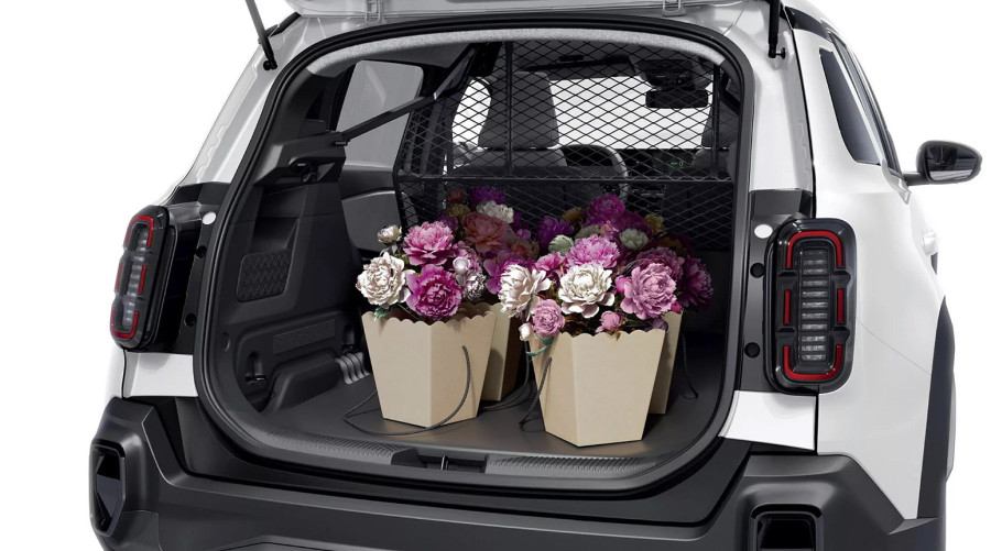 Renault napravio kombi koji baš i ne izgleda kao kombi FOTO