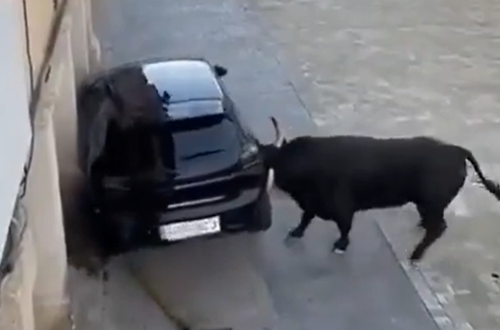 Bik nasred ulice razbio automobil VIDEO