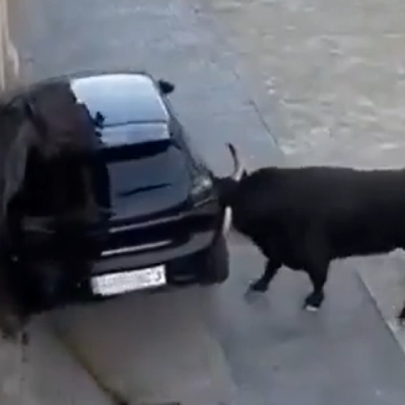 Bik nasred ulice razbio automobil VIDEO