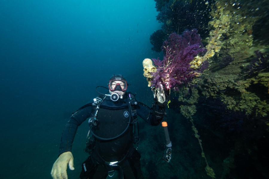 Idealne destinacije za letovanje na zlatnu jesen: Blizu, jeftinije i bez gužvi FOTO
