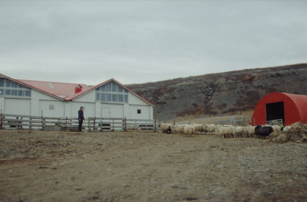 Najpouzdaniji evropski automobil? Prešao milion kilometara sa originalnim motorom FOTO